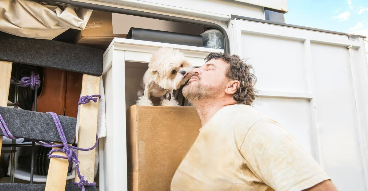 Safe Ship Moving Services Shares Expert Tips on Helping Pets Adjust and Minimize Stress During Relocation